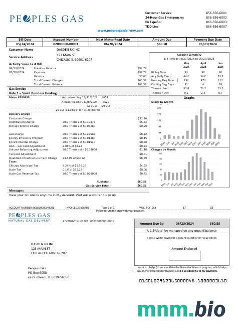 USA Illinois Peoples Gas rachunek za usługi komunalne szablon w formacie Word i PDF